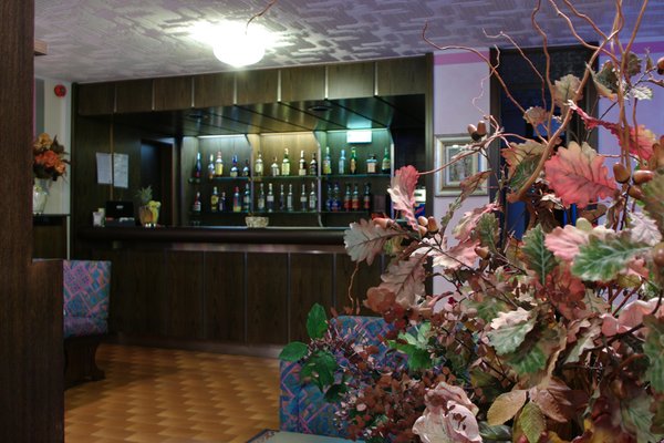 Foto del bar Hotel Meublé La Betulla