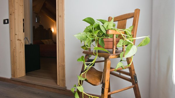 Photo of some details Hotel Garni Le Corti