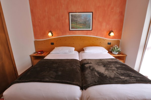 Foto della camera Hotel Biancospino