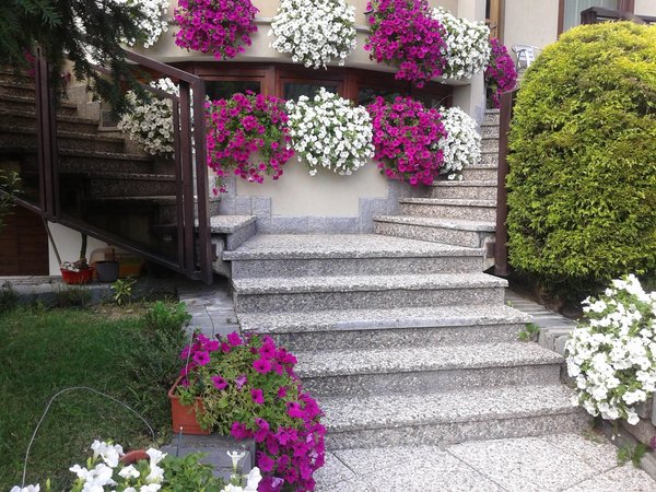 Foto del giardino Lanzada (Sondrio - Valmalenco)