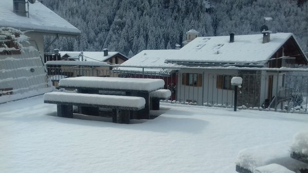 Foto del giardino Lanzada (Sondrio - Valmalenco)