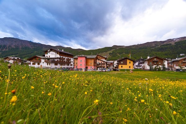 La posizione Bio Hotel Villa Cecilia Livigno