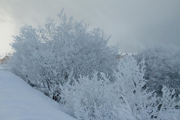 Gallery inverno
