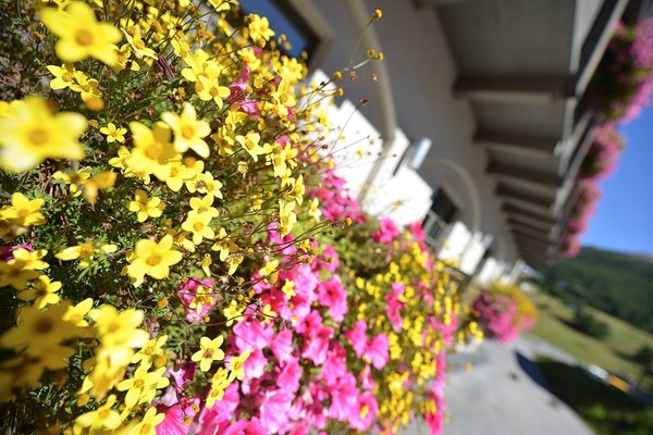 Foto del balcone Marzia