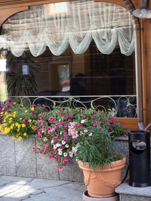 Foto Außenansicht Hotel Alpenrose