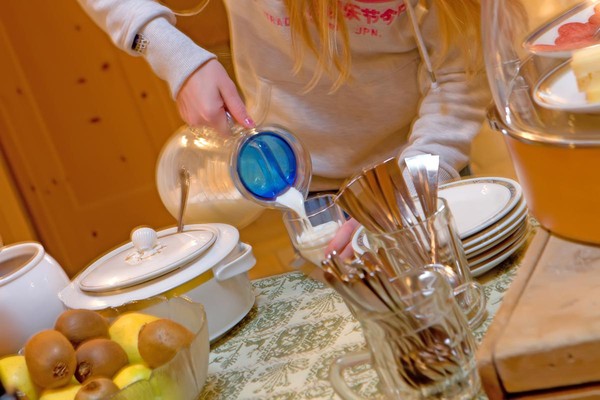 The breakfast B&B (Garni)-Hotel Al Plan