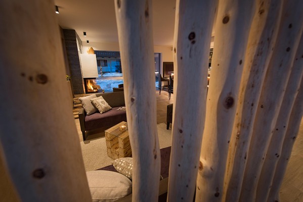 The living area Hotel Roberta Alpine