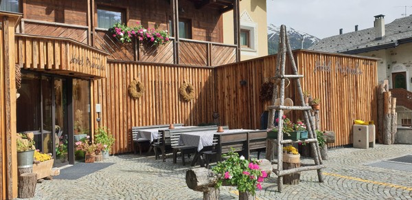 Foto Außenansicht Hotel Primula