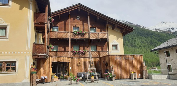 Foto Außenansicht Hotel Primula