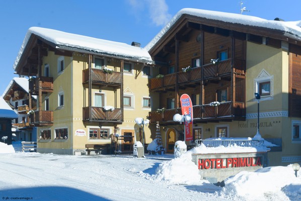 Foto Außenansicht Hotel Primula