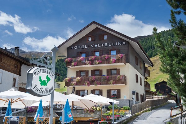Foto estiva di presentazione Hotel Valtellina