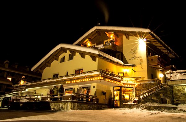Foto esterno in inverno del Bosco