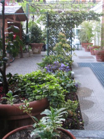 Photo of the garden Morbegno
