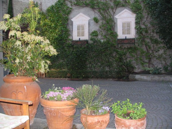 Photo of the garden Morbegno