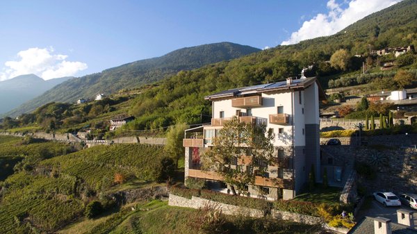 Foto esterno in estate Wine Hotel Retici Balzi