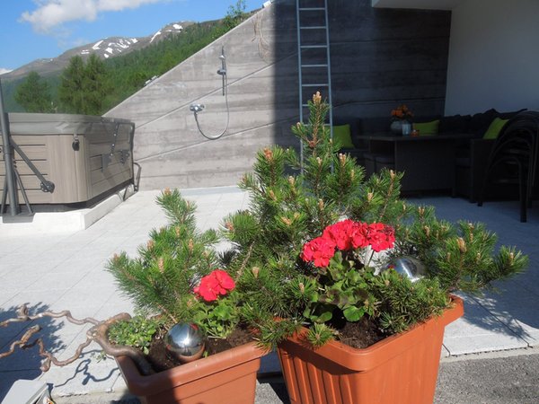 Foto della terrazza