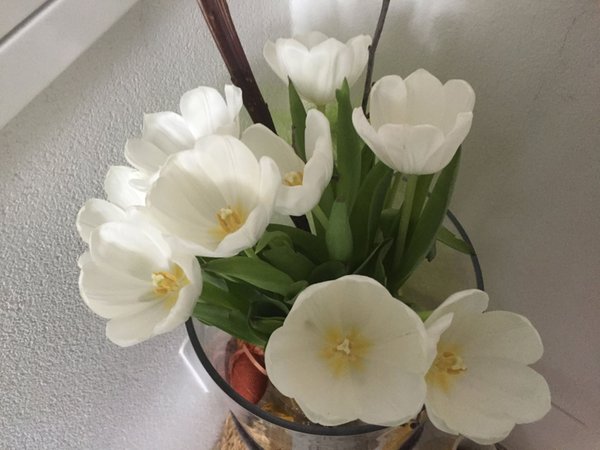 Foto di alcuni dettagli Weisskugel