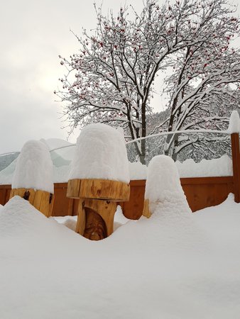 Gallery inverno
