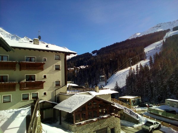 Foto esterno in inverno Abete Blu