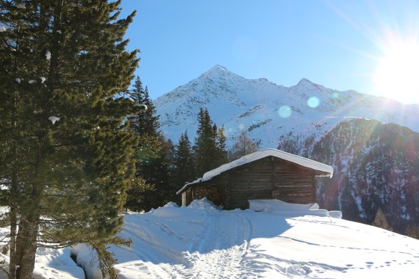 Gallery Valfurva - S. Caterina (Bormio e dintorni) inverno