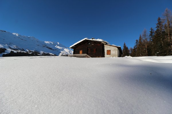 Gallery Valfurva - S. Caterina (Bormio e dintorni) inverno