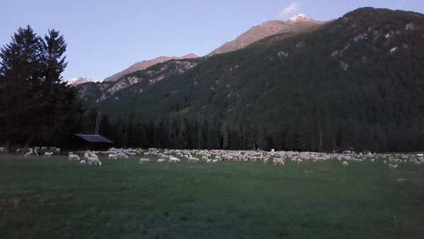 Gallery Santa Caterina - Valfurva (Bormio e dintorni)