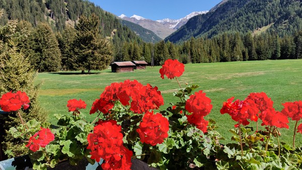 Vista dalla struttura
