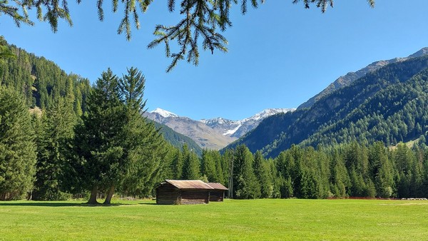 Gallery Santa Caterina - Valfurva (Bormio e dintorni)
