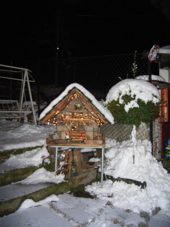 Foto del giardino Caiolo (Sondrio - Valmalenco)