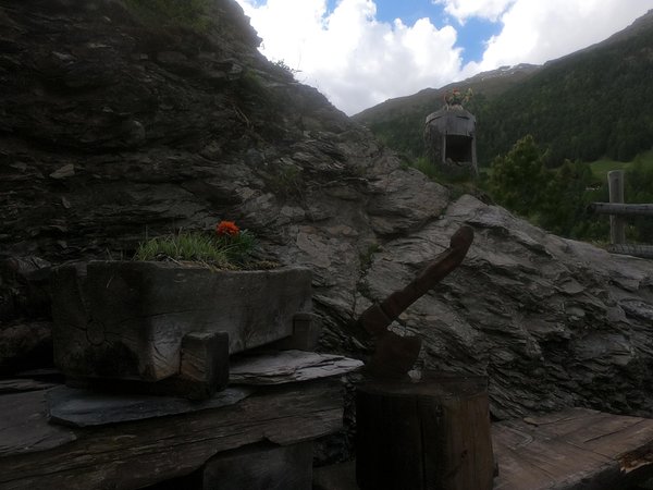 Foto del giardino Valfurva - S. Caterina (Bormio e dintorni)