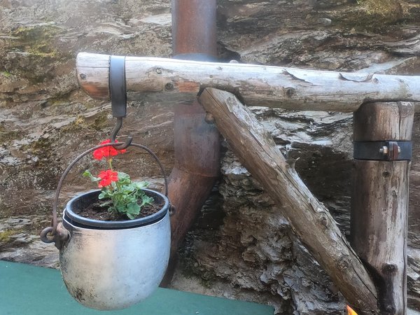 Foto del giardino Valfurva - S. Caterina (Bormio e dintorni)