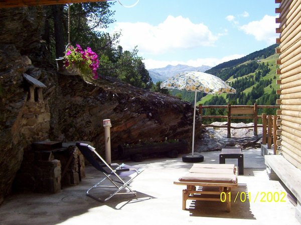 Foto del giardino Valfurva - S. Caterina (Bormio e dintorni)