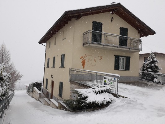 Foto Außenansicht Bed & Breakfast Il Grappolo