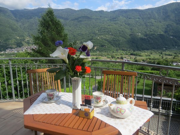 Foto vom Balkon Il Grappolo