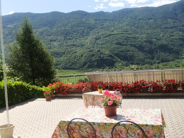 Photo of the garden Bianzone (Tirano - Media Valle)