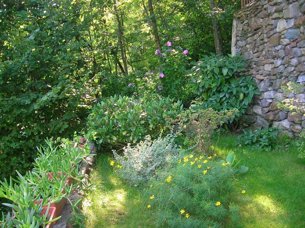 Foto del giardino Andalo Valtellino (Morbegno - Bassa Valle)
