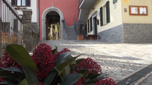 Foto Außenansicht im Sommer Monastero