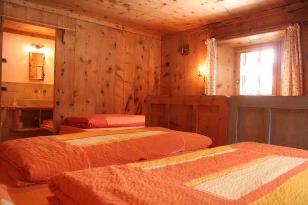 Photo of the room Bed & Breakfast Campaciol