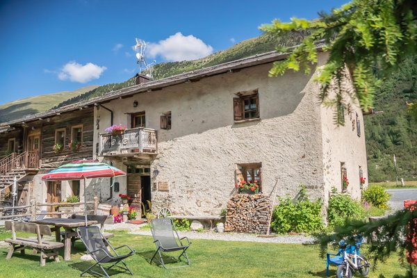 Photo exteriors in summer Campaciol