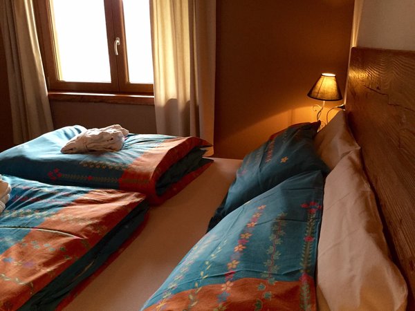 Photo of the room Bed & Breakfast Mortirolo