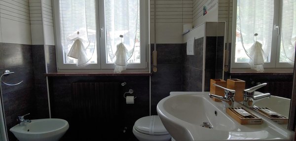 Foto del bagno B&B Affittacamere Valchiavenna