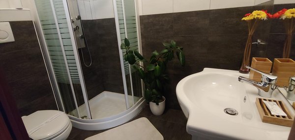 Foto del bagno B&B Affittacamere Valchiavenna
