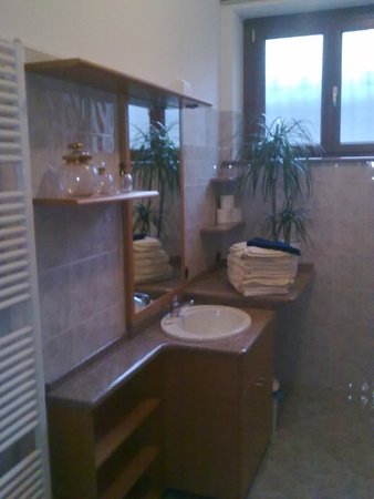 Foto del bagno B&B Affittacamere Valchiavenna