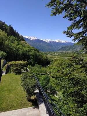 Foto vom Garten Villa di Tirano