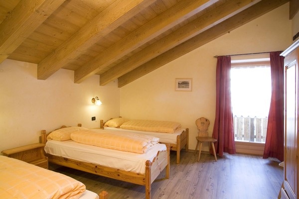 Photo of the room Apartments Anna