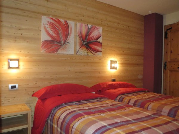 Photo of the room Apartments Piccola Baita