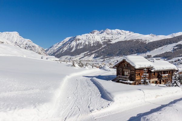 La posizione Appartamenti Piccola Baita Livigno