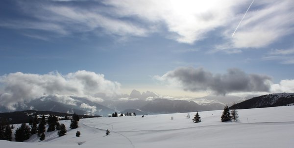 Gallery inverno