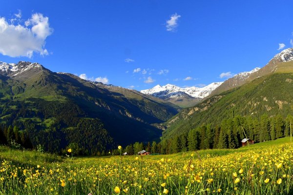 Foto estiva di presentazione Pro loco Santa Caterina Valfurva