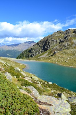 Photo gallery summer